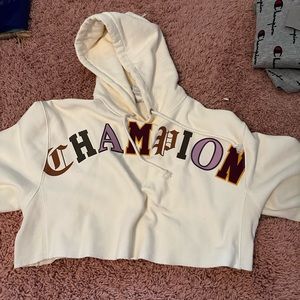 champion sweater cropped